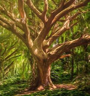 Relato corto, La llamada. Un árbol en el claro de un bosque.