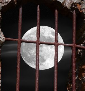 Relato corto, La doncella. Una luna a través de las rejas de una ventana