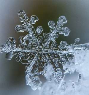 Relato corto, La nieve seguía cayendo. Un copo de nieve.