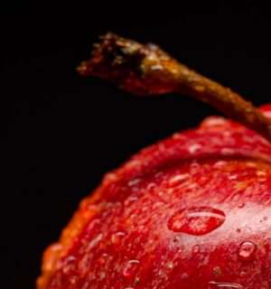 Relato corto, El manzano. Una manzana roja con gotas de agua.