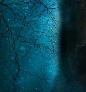 Relato corto, Garra. Una calavera con una capa.