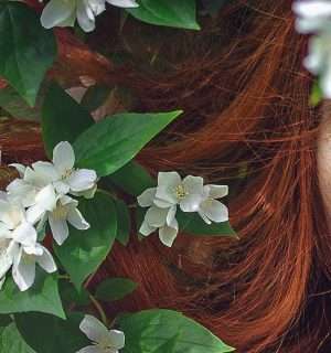 Relato corto, Mi bella criatura. Una chica escondida entre flores.