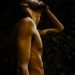 Relato corto, Deseos circulares. Torso desnudo masculino.